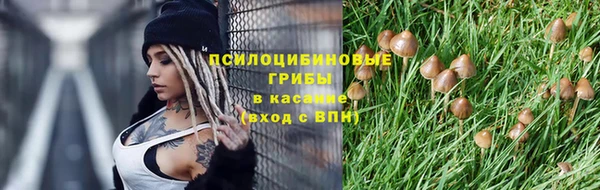 трава Алексин